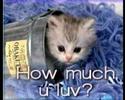 Funny
