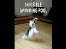 Funny
