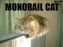 ****FUNNY