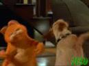 Garfieldin