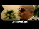 Pitbull