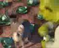 sherk